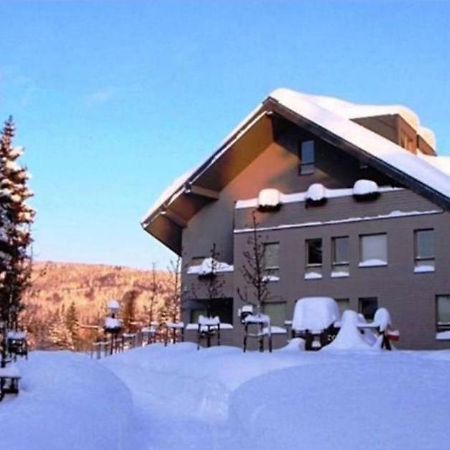 Wellness Apartment Josefina - Free Grotta Spa Wellness Harrachov Eksteriør bilde
