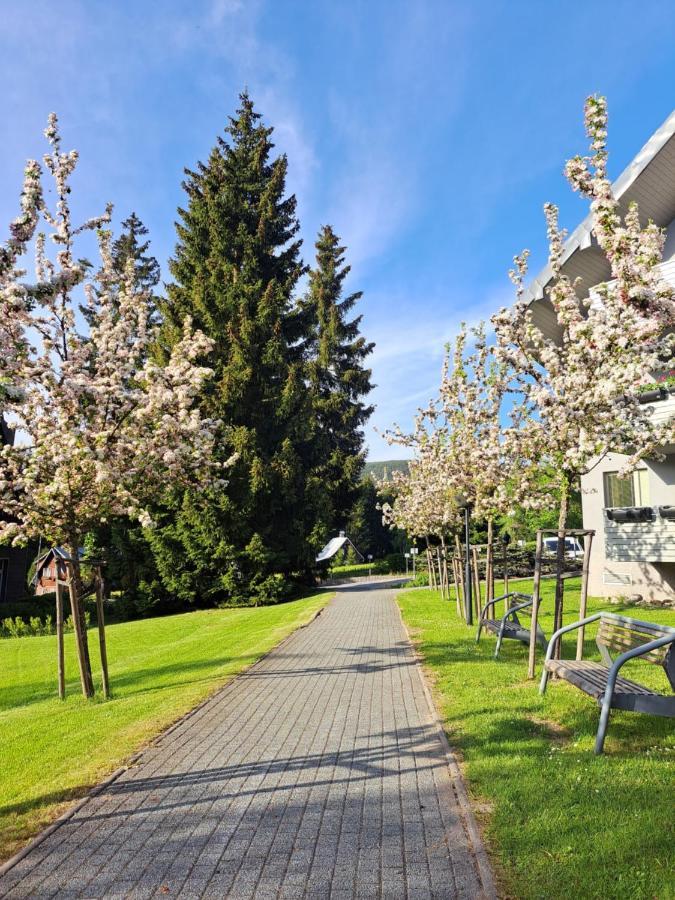 Wellness Apartment Josefina - Free Grotta Spa Wellness Harrachov Eksteriør bilde